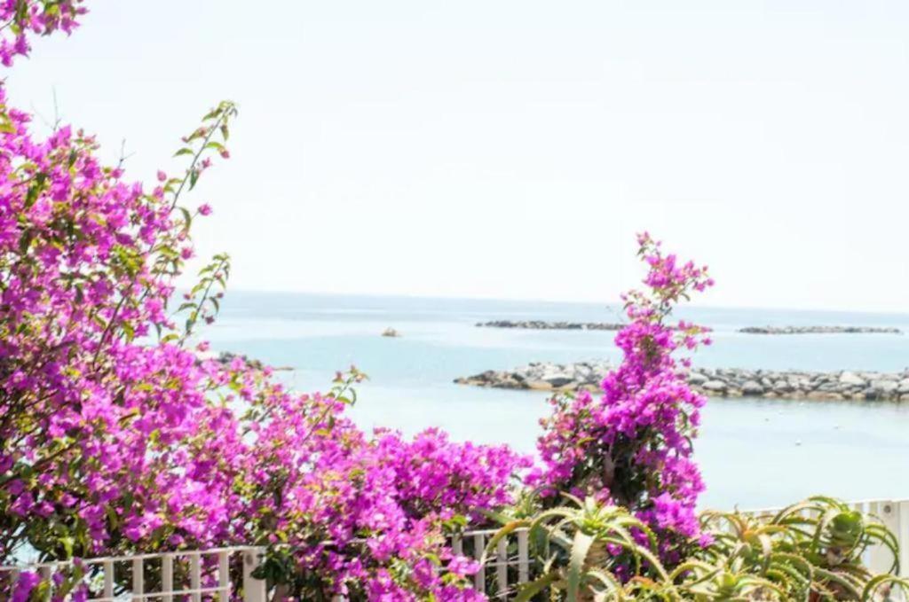 Casa Vacanza Rossella سانريمو المظهر الخارجي الصورة