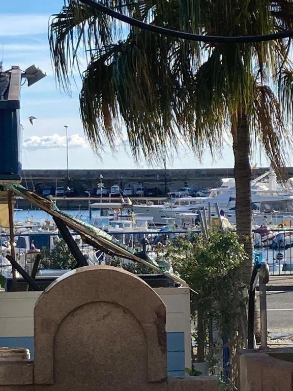 Casa Vacanza Rossella سانريمو المظهر الخارجي الصورة