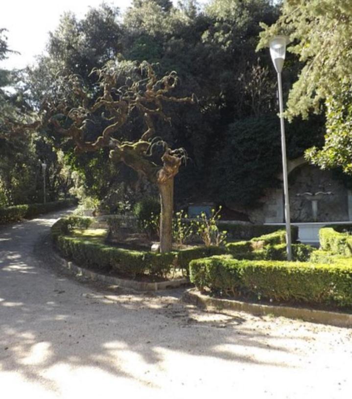 Casa Vacanza Rossella سانريمو المظهر الخارجي الصورة