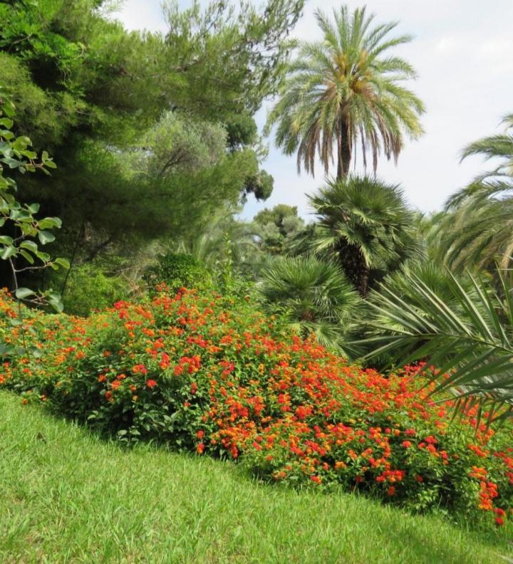 Casa Vacanza Rossella سانريمو المظهر الخارجي الصورة