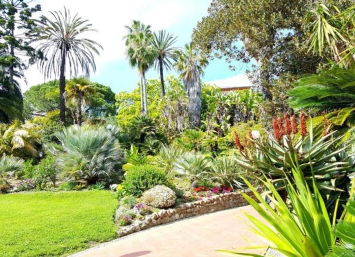 Casa Vacanza Rossella سانريمو المظهر الخارجي الصورة