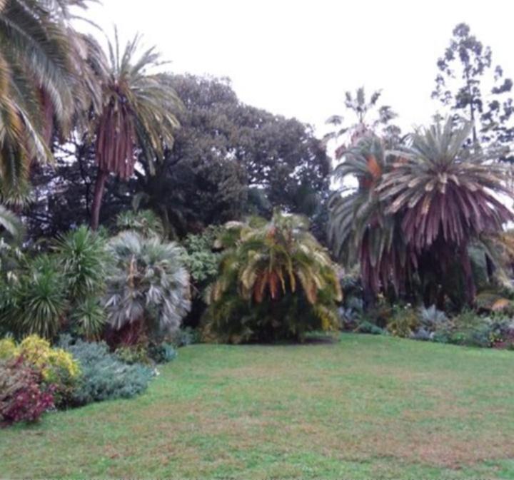 Casa Vacanza Rossella سانريمو المظهر الخارجي الصورة